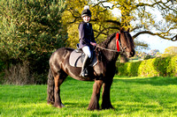 Blidworth Equestrian Beginners Showjumping (5th May 2023)