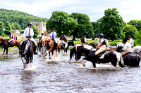 Four Shires Bloodhounds, Chatsworth (24th June 2023)