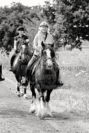 Grove_and_Rufford_Ride_Kneesall_18th_June_2023_008