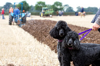 Flintham Ploughing Match,  Ploughing Fields (25th Sept 2014)
