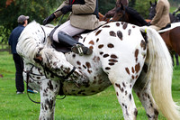 Grove_and_Rufford_Ride_Broomhill_Grange_20th_Sept_2014.019