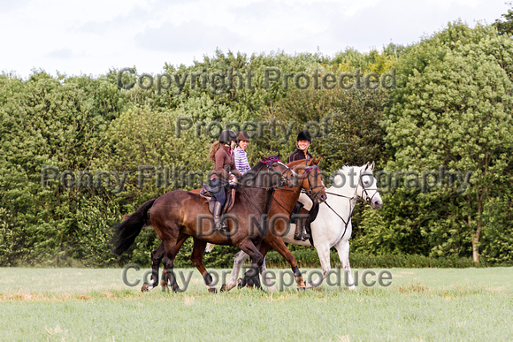 Grove_and_Rufford_Ride_Leyfields_7th_July_2015_012