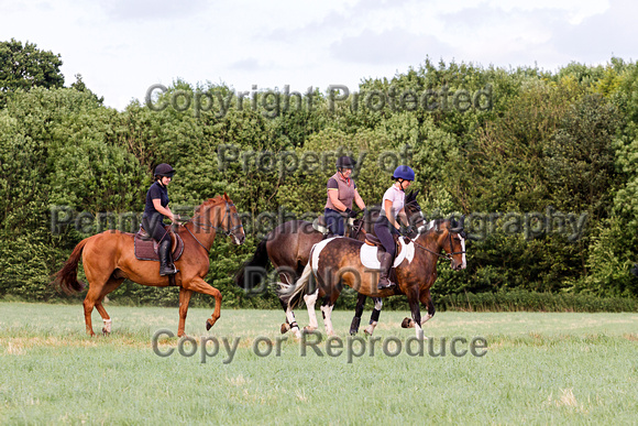 Grove_and_Rufford_Ride_Leyfields_7th_July_2015_013