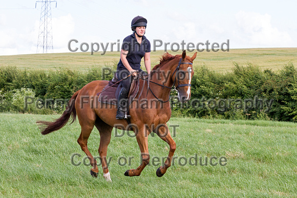 Grove_and_Rufford_Ride_Leyfields_7th_July_2015_017