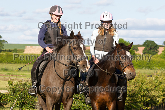 Grove_and_Rufford_Ride_Lower_Hexgreave_9th_June_2015_016