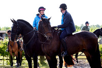 Grove_and_Rufford_Ride_Lower_Hexgreave_9th_June_2015_013