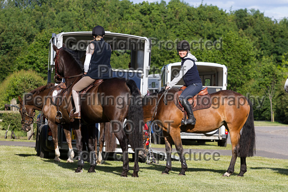 Grove_and_Rufford_Ride_Lower_Hexgreave_9th_June_2015_001