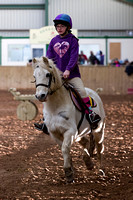 Trent_Valley_Equestrian_Indoor_XC_Class_One_18th_Jan_2015_002