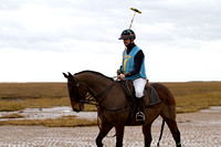 Vale_of_York_Polo_Cleethorpes_2nd_March_2014.017