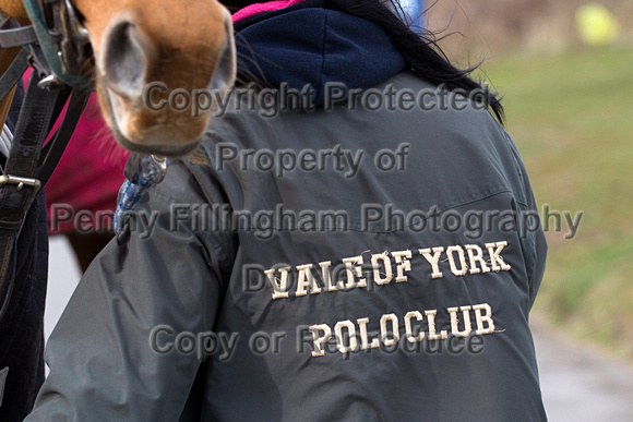Vale_of_York_Polo_Cleethorpes_2nd_March_2014.002