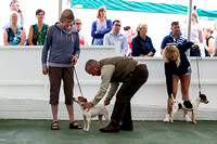 GYS_Terriers_Morning_Ring_Two_12th_July_2018_004