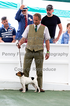 GYS_Terriers_Morning_Ring_Two_12th_July_2018_011