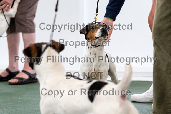 GYS_Terriers_Morning_Ring_Two_12th_July_2018_014