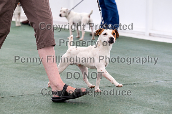 GYS_Terriers_Morning_Ring_Two_12th_July_2018_006