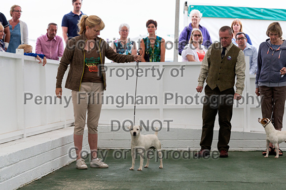 GYS_Terriers_Morning_Ring_Two_12th_July_2018_002
