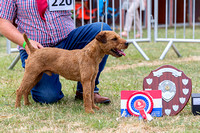 GYS_Terriers_Morning_Ring_Three_12th_July_2018_035