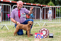 GYS_Terriers_Morning_Ring_Three_12th_July_2018_034