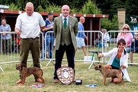 GYS_Terriers_Morning_Ring_Three_12th_July_2018_028