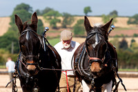 Southwell Ploughing Match, Ploughing Fields (27th Sept 2014)