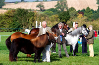 Southwell Ploughing Match, Equestrian (27th Sept 2014)