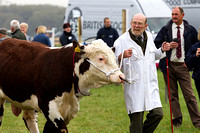 Southwell Ploughing Match, Livestock (27th Sept 2014)