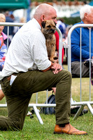 GYS_Terriers_Morning_Ring_Three_12th_July_2018_017