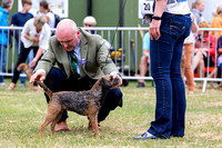 GYS_Terriers_Morning_Ring_Three_12th_July_2018_019