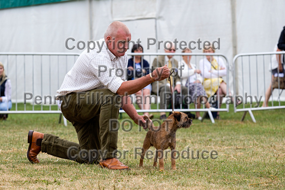 GYS_Terriers_Morning_Ring_Three_12th_July_2018_008
