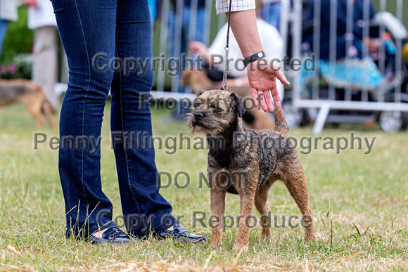 GYS_Terriers_Morning_Ring_Three_12th_July_2018_020