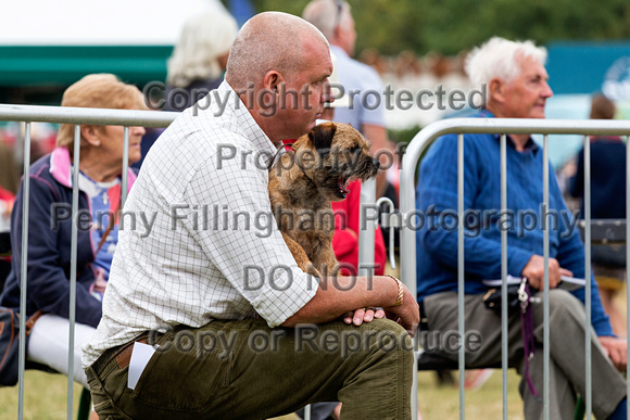 GYS_Terriers_Morning_Ring_Three_12th_July_2018_012