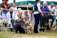 GYS_Terriers_Morning_Ring_Three_12th_July_2018_010