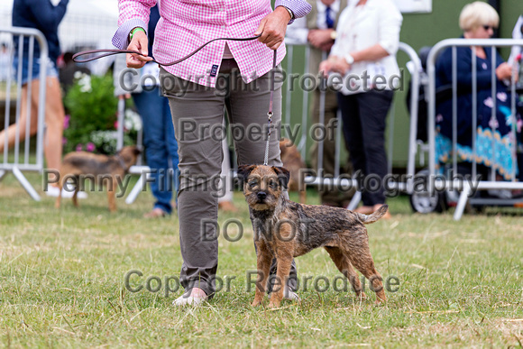 GYS_Terriers_Morning_Ring_Three_12th_July_2018_011