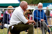 GYS_Terriers_Morning_Ring_Three_12th_July_2018_014