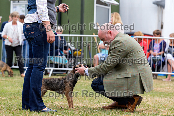 GYS_Terriers_Morning_Ring_Three_12th_July_2018_018