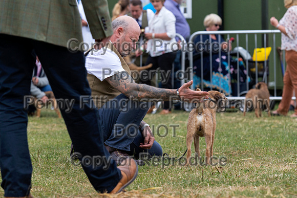 GYS_Terriers_Morning_Ring_Three_12th_July_2018_015