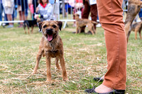 GYS_Terriers_Morning_Ring_Three_12th_July_2018_004