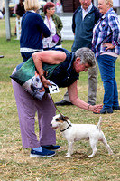 GYS_Terriers_Morning_Ring_Three_12th_July_2018_002