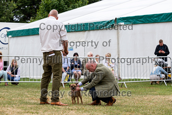 GYS_Terriers_Morning_Ring_Three_12th_July_2018_006
