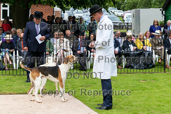 South_Notts_Puppy_Show_4th_June_2017_011