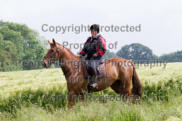 South_Notts_Ride_Bankwood_Farm_7th_June_2014.012