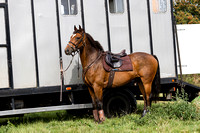 South_Notts_Mounted_Exercise_Kennels_22nd_August_2015_006