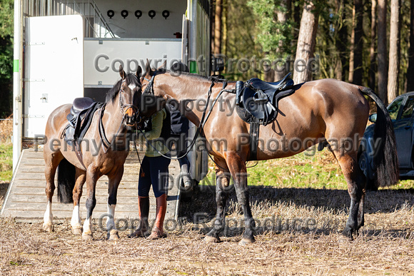 Grove_and_Rufford_Ride_Thoresby_24th_Feb_2024_003