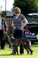 DL&LD_South_Wingfield_Lurchers_4th_Oct_2015_002