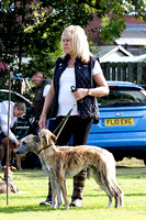 DL&LD_South_Wingfield_Lurchers_4th_Oct_2015_001