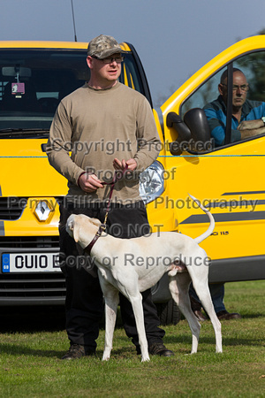 DL&LD_South_Wingfield_Lurchers_4th_Oct_2015_020