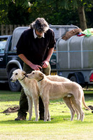 DL&LD_South_Wingfield_Lurchers_4th_Oct_2015_007
