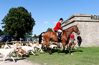 Chatsworth_Country_Fair_Hound_Parade_6th_Sept_2015_015