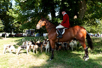 Chatsworth_Country_Fair_Hound_Parade_6th_Sept_2015_008