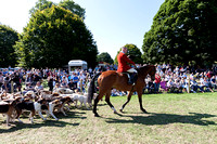 Chatsworth_Country_Fair_Hound_Parade_6th_Sept_2015_016
