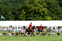 Chatsworth_Country_Fair_Hound_Parade_6th_Sept_2015_020